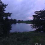 IMG_0978